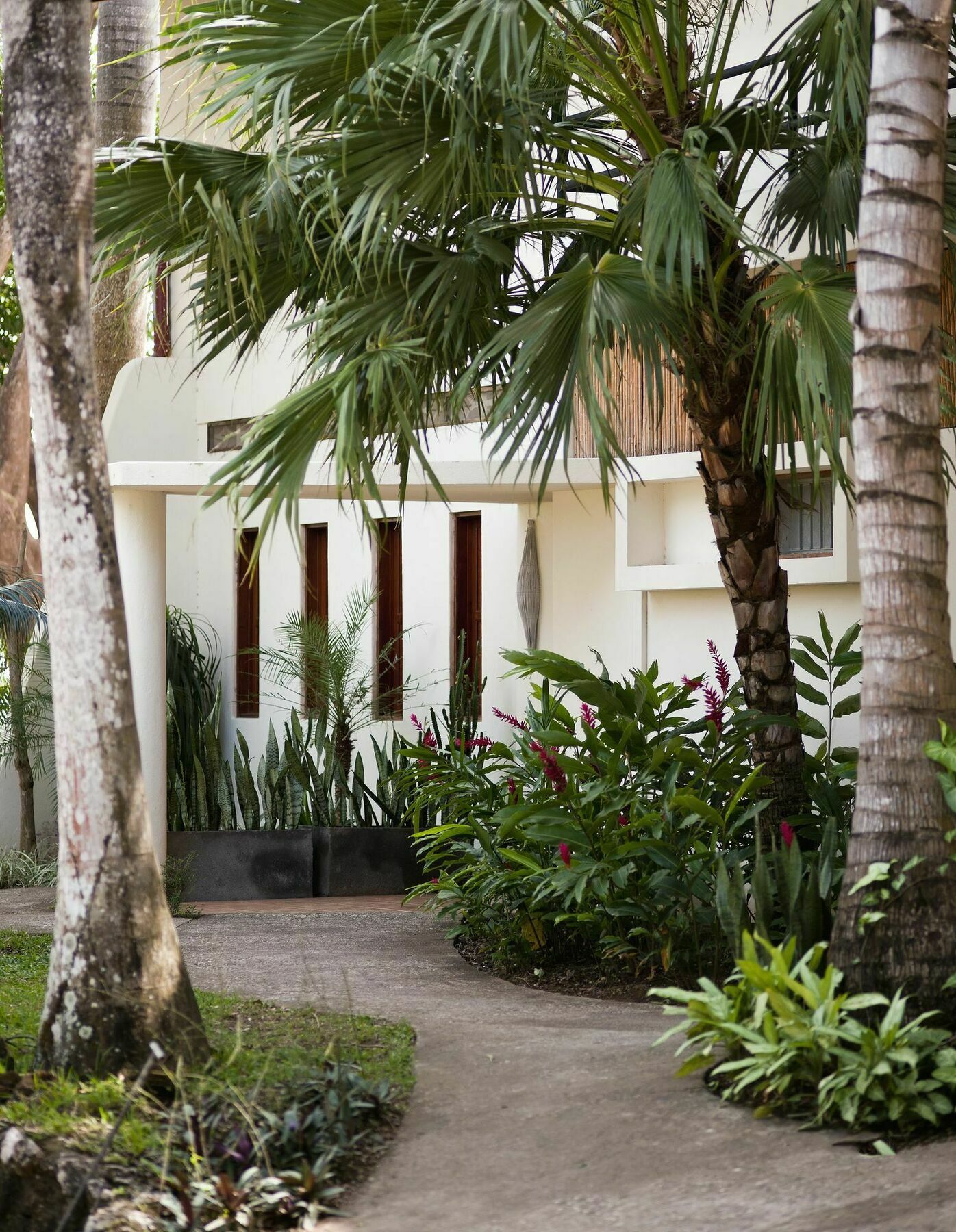 Tierra Magnifica Boutique Hotel Nosara Zewnętrze zdjęcie